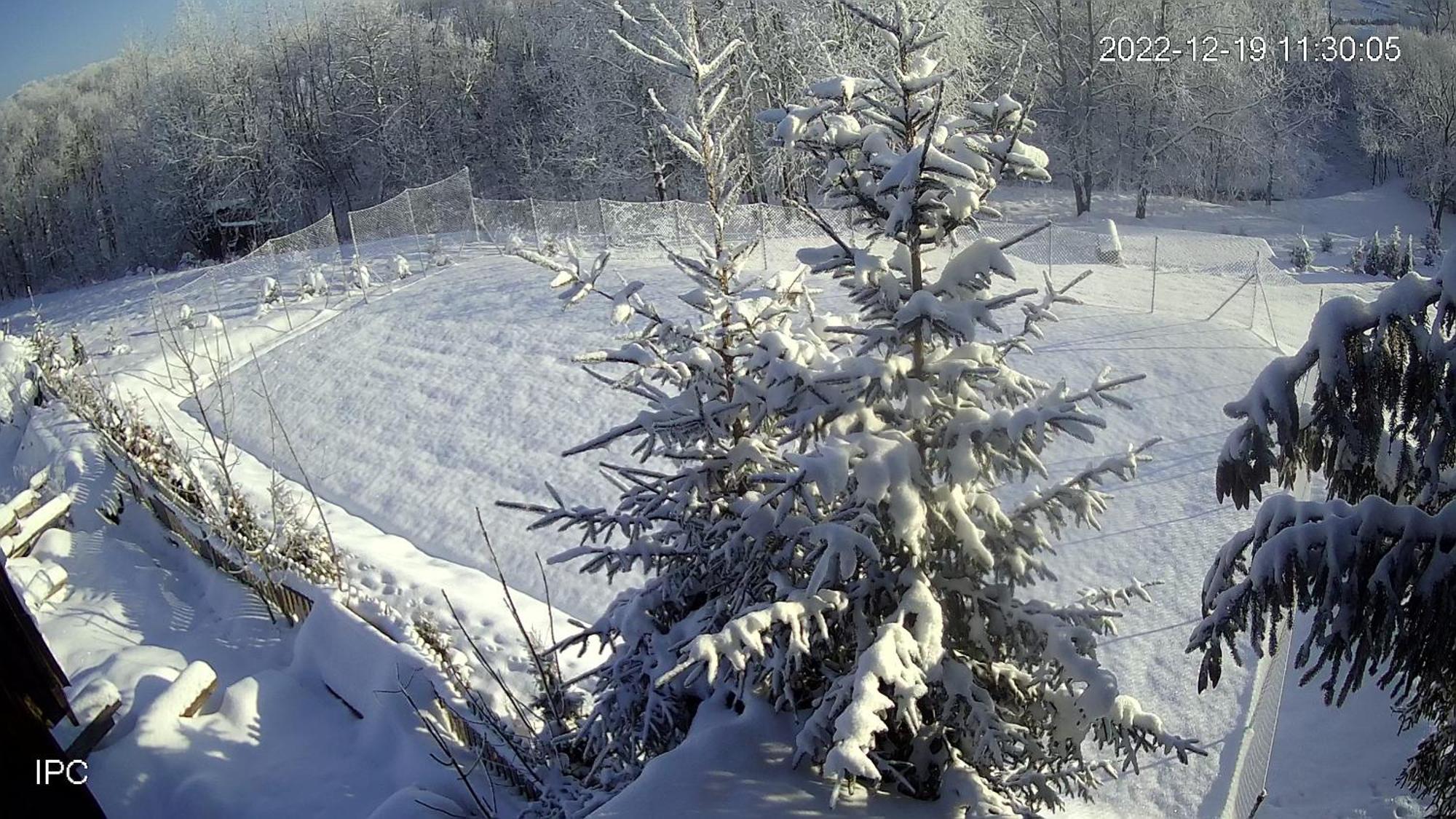 Noclegi Nad Czarna Orawa Podwilk Exteriör bild