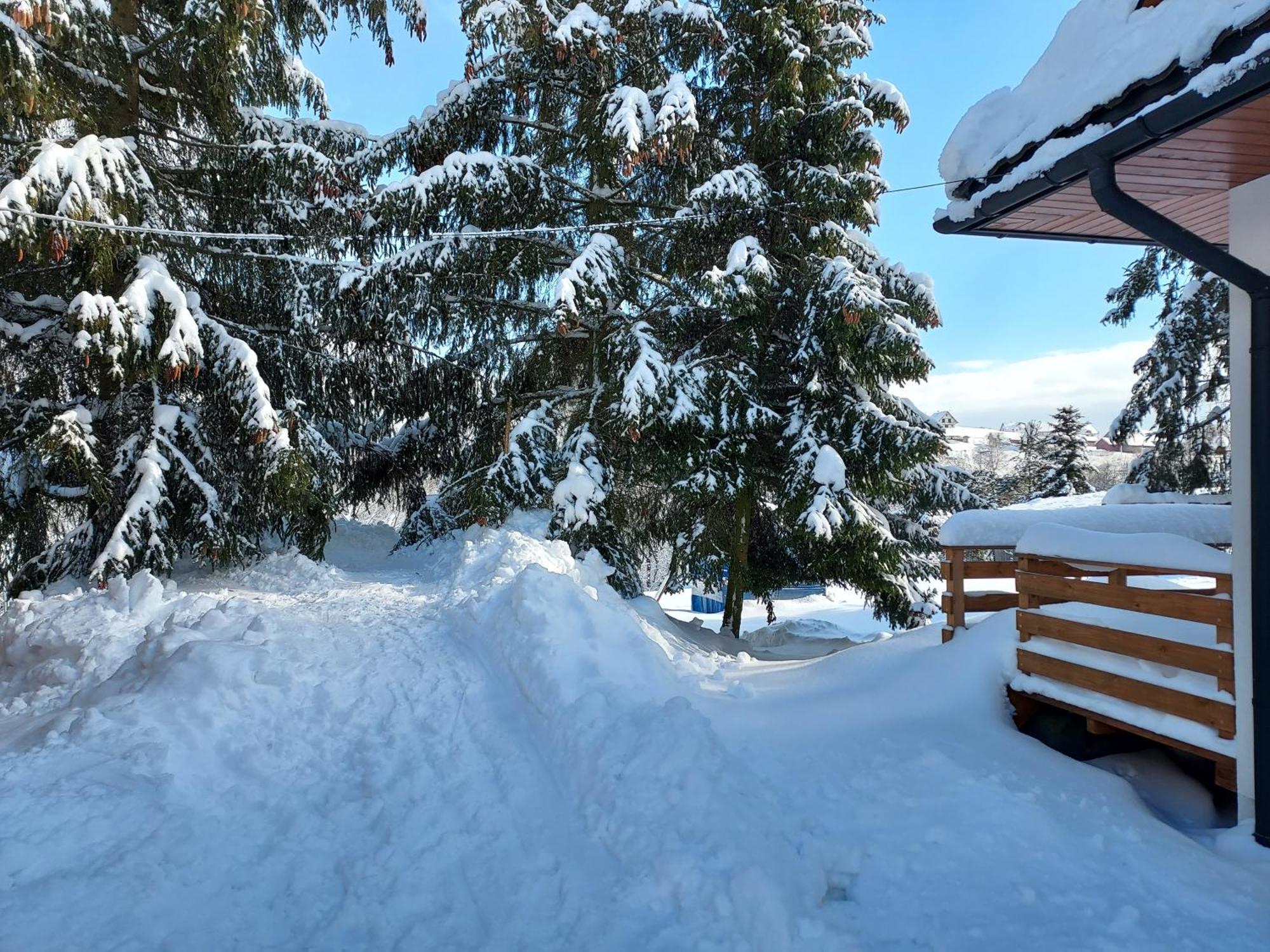 Noclegi Nad Czarna Orawa Podwilk Exteriör bild