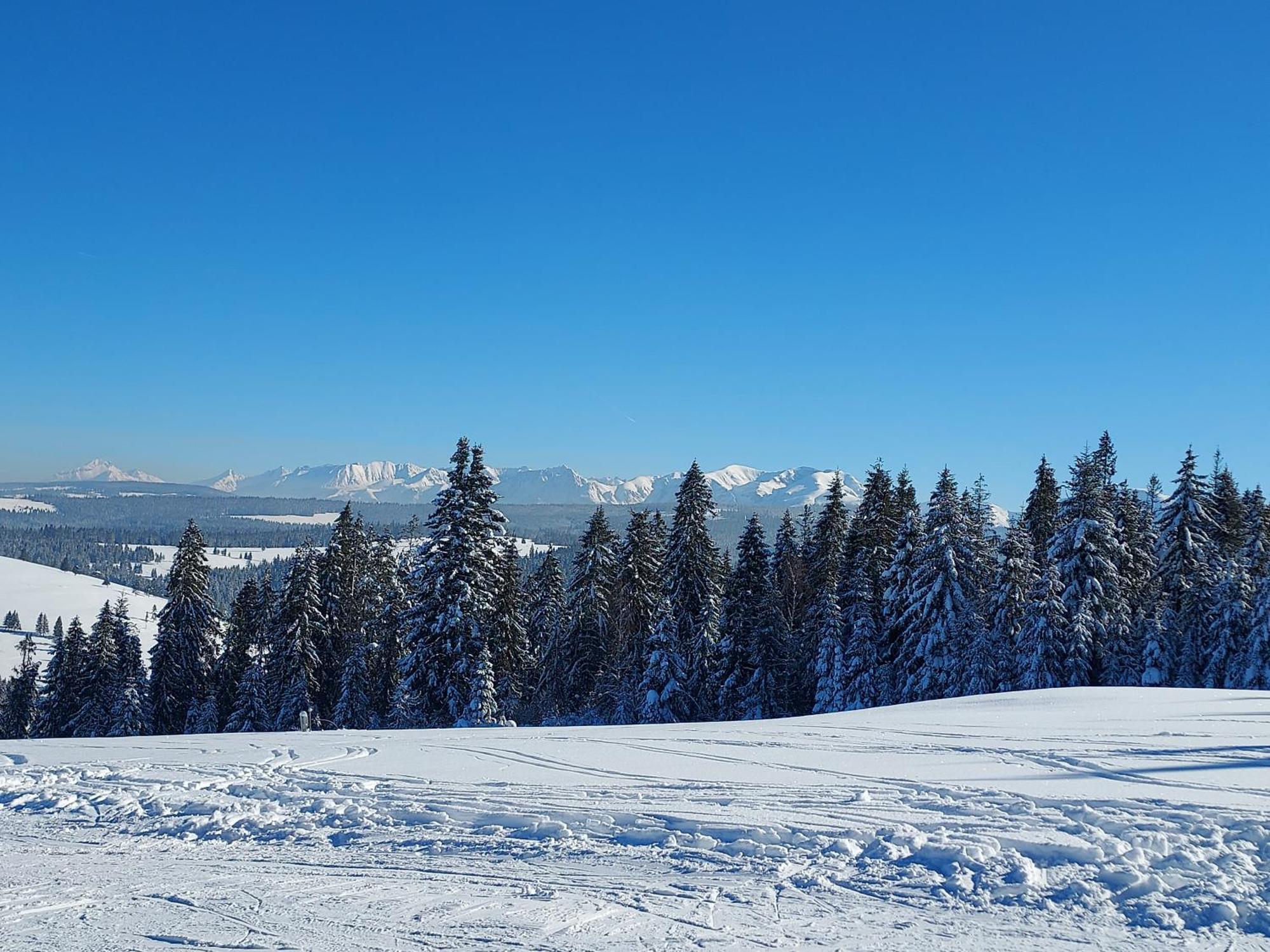 Noclegi Nad Czarna Orawa Podwilk Exteriör bild